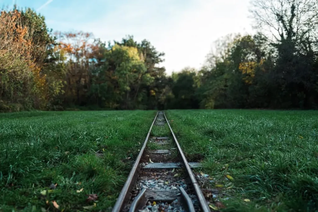 How to Track Organic vs Paid SERP Results